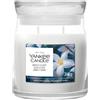 Yankee Candle Signature Candela in Giara Media Midnight Jasmine 50 Ore
