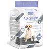 Record Assorbipiù Traverse Cani Carboni Attivi Usa e Getta, 60x90cm 30 pz | Tappetini igienici per Cani. Monouso, Antistrappo e Antiodore. Cani Taglia Grande