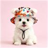 Generic Cappello da sole per animali domestici, berretto da pescatore per cani e gatti, leggero copricapo a forma di casco traspirante, colorato, taglia media