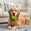 Generic Palla interattiva per biscottini per cani, giocattolo masticabile che eroga cibo per cani, pallina anti-noia per animali piccoli e grandi, pallina di gomma per uso interno ed esterno (Verde, L)