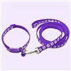 Generic Set di collare e guinzaglio per cani, regolabile, in nylon, con guinzaglio da 1,2 m, comoda corda di trazione per cuccioli per cani e gatti (viola)