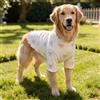 Generic Body per cani con stampa con fiocco, camicia in maglia a costine a maniche lunghe elasticizzata per animali domestici di taglia piccola e media, rosa, L