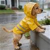 Generic Impermeabile per cani con cappuccio riflettente, leggero, con foro per il guinzaglio, per cani di taglia piccola e media, abbigliamento per cuccioli, giallo, taglia M (6-11 lbs, 3-5 kg)
