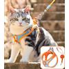 Generic Set di pettorina e guinzaglio riflettente per cani e gatti, gilet regolabile in rete morbida con guinzaglio da 147 cm, per razze da 0,9 a 3,2 kg (colore arancione, taglia S)