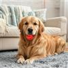 Generic Palla interattiva per biscottini per cani, giocattolo masticabile che eroga cibo per cani, pallina anti-noia per animali piccoli e grandi, pallina di gomma per uso interno ed esterno (Rosso, S)