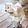 Generic Impermeabile trasparente per cani con cappuccio, impermeabile ed elegante, per cani di piccola e media taglia, per giornate di pioggia e passeggiate all'aperto