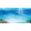 MIRRORANG 76x46cm Sottomarino Tema Acquario Sfondo Colorato Corallo Pesce Tropicale Sole Subacqueo Mondo Acquario Sfondo