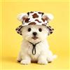 Generic Cappello da sole per animali domestici, berretto da pescatore per cani e gatti, leggero a forma di casco, design traspirante, griglia per caffè, taglia L