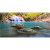 MIRRORANG 61x30cm Durevole Vinile Cascata Terrario Sfondo Acquario Tropicale Sfondo Alberi Lago Pietra Roccioso Rettile Habitat Sfondo