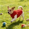 Generic Maglione per cani, morbido pullover per cani di piccola taglia, caldo ed elastico, per autunno inverno, taglia M (2,5-3,5 kg), rosso