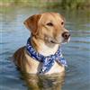 Generic Bandana rinfrescante per animali domestici, fascia per il collo di cani e gatti, sciarpa rinfrescante estiva per il caldo, per animali domestici di piccola e media taglia, blu