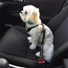 Generic Pettorina per auto per animali domestici, cintura di sicurezza antiurto, per la sicurezza dell'auto del cane, impedisce di saltare sul sedile anteriore, accessori da viaggio regolabili per cani di
