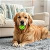 Generic Palla interattiva per biscottini per cani, giocattolo masticabile con erogatore di cibo per cani, palla anti-noia per animali piccoli e grandi, palla di gomma per uso interno ed esterno (Verde, S)