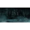 MIRRORANG 61x30cm Sfondo Scuro e Spaventoso per Acquario, Alberi, Strada, Nebbia, Notte Horror, Sfondo spettrale Resistente per Acquario in Vinile