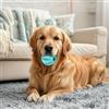Generic Palla interattiva, dispenser di cibo giocattolo da masticare per cani, sollievo dalla noia per animali domestici piccoli e grandi, palla di gomma per interni ed esterni (blu, L)