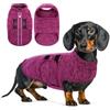 Queenmore Maglione Cane Piccolo In Pile Caldo Regolabile Gancino Guinzaglio | Felpa Fleece Per Bulldog Francese, Bassotto, Pitbull, Indossaggio Facile, Per Mattine Fredde E Corse Al Parco, Berry, S