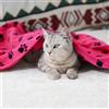 Generic Coperte per animali domestici (90 x 71 cm), morbida coperta in pile con stampa di zampe, calda e traspirante, simpatica, per gattini, cuccioli e altri animali, essenziali per animali domestici, rosso