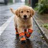 Generic 4 pezzi scarpe per cani di piccola taglia, stivaletti per animali traspiranti antiscivolo, protezioni per zampe di cucciolo, confezione da 4 copripiedi per razze di piccola taglia (arancione, S)