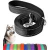 Generic Guinzaglio per cani resistente da 1,8 m x 2,5 cm, con doppio manico imbottito morbido, resistente e resistente, guinzaglio in nylon riflettente per cani di taglia grande, media e piccola, nero