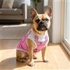 Generic Gilet estivo ad asciugatura rapida per cani e cuccioli di piccola taglia, abbigliamento leggero per animali domestici, rosa, XS