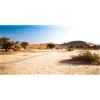 MIRRORANG 180x61cm Durevole Vinile Terrario Sfondo Blu Cielo Montagna Enorme Cactus Gobi Sole e Deserto Rettile Habitat Sfondo