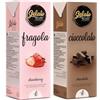 Gelato 4ever - Preparato per Gelato Pronto da Mantecare, Double Pack, Facile da Preparare, Compatibile con Tutte le Macchine per Gelati Come Ninja Creami, Magimix, HKoenig, 1L per Brick, Made in Italy