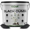GiDeli Semi di Cumino Nero 3kg - Vera Nigella Sativa Intera dalla- Aroma Profondo e Terroso, Accuratamente Selezionato - Semi di Nigella Freschi Vegani per Pane, Insalate, Yogurt e Tisana