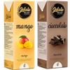 Gelato 4ever - Preparato per Gelato Pronto da Mantecare, Double Pack, Facile da Preparare, Compatibile con Tutte le Macchine per Gelati Come Ninja Creami, Magimix, HKoenig, 1L per Brick, Made in Italy