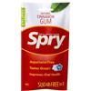 Spry Fresh Gomme da Masticare Naturale allo Xilitolo per l'Igiene Orale - Senza Aspartame, Senza Zucchero, Non OGM, Senza Glutine (Cinnamon, 55 Count - Pack of 1)