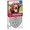 ELANCO ITALIA SPA Advantix Cani 25-40 kg 4 Pipette Antiparassitario scade 31-10-2026