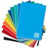 Blasetti One Color - Maxi Quaderno A4-0Q Quadretti 5mm con Margine - 10pz | Blasetti: carta FSC 80gr per scrittura fluida, copertina opaca resistente all'usura, colori assortiti brillanti.