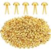 Generic 150 fermacampioni rotondi in ottone per lavori di carta, chiusure rotonde in ottone (0,8 x 1,5 cm), chiusure in metallo resistenti per scrapbooking, artigianato fai da te, scuola e progetti di ufficio