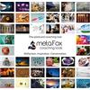 metaFox Leading Change Pack - 52 Coaching Postcards on Kotter's Model