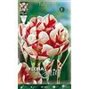 Generic BULBI AUTUNNALI TULIPANO FIORE DOPPIO CARNAVAL DE NICE CONFEZIONE DA 10 BULBI BULBS