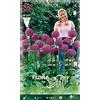Generic BULBI AUTUNNALI ALLIUM GLOBEMASTER CONFEZIONE DA 1 BULBO BULBS BULBES