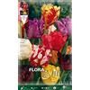 PRGA BULBI AUTUNNALI TULIPANO PARROT MIX DI COLORI CONFEZIONE DA 10 BULBI BULBS BULBES