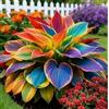 OJMUJDJ Hosta rari resistenti, facili da curare, ideali per giardini e balconi-4bulbi-B