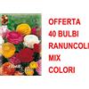 Generic OFFERTA 40 BULBI RANUNCULUS ASIATIC MIXED BULBS BULBES RANUNCOLI