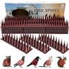 Sunshine smile Dissuasore piccioni Spikes, 5,16 m, repellente per uccelli e gatti, spaventapassi, 12 pezzi