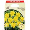 PRGA BULBI PRIMAVERILI NARCISO TRUMPET GIALLO CONFEZIONE DA 25 BULBI BULBS