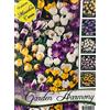 Generic COLLEZIONE DI 75 BULBI AUTUNNALI CROCUS BOTANICI IN MIX BULBS