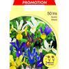 PRGA BULBI AUTUNNALI IRIS HOLLANDICA MIXED COLOR CONFEZIONE 50 BULBI BULBS BULBES