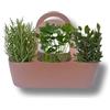 P. Piantine da Orto | Aromibag Marrone Composta da 3 Aromi: Alloro, Prezzemolo Riccio, Rosmarino, Piante Vere, Idea Regalo, Vivaio Italiano