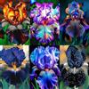 NJKNYOG Rizomi di Iris Resistenti al Freddo e Siccità | Per Giardini e Balconi | Regali Festivi-6bulbi-d