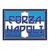 Domina Pubblicità Striscione Forza Napoli 70x100 cm in Tessuto TNT di Poliestere, con 4 Occhielli per Fissaggio. Bandiera Forza Napoli per Balcone, Ringhiera, Cancello.