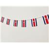 Pandiui23 Bandiera Costa Rica 40 pz bandiera Costa Rica Ghirlanda Costa Rica 11,4 m bandierine Costa Rica, bandiera nazionale bandiere 14 x 21 cm per decorazioni da bar