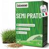 BIOEXXE Semi Prato Resistente Loietto Perenne 80 m² - Festuca Arundinacea Semi Erba Crescita Rapida Dicondra - Sementi per Prato Trifoglio Nano Dichondra Repens Erba da Seminare - Made in Italy