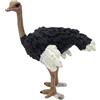 perfk Figure di Animali Modello per Bambini Collezione Giocattoli Uccello in Legno, Struzzo