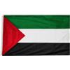 Generic bandiera palestinese