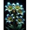 VJIDOSO Lilium tuberi mix di cipolle,gigli in vaso,cipolle perenni,decorativi,grazia,gigli a cipolle resistenti all'inverno,ottima decorazione-2pezzo-E